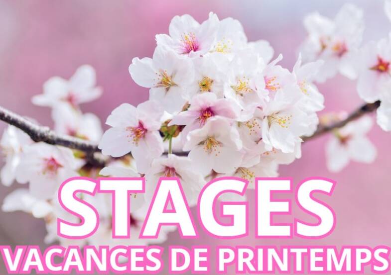 stage printemps
